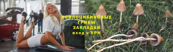 бутират Аркадак